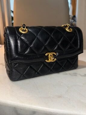 LNWT: Chanel Bag
